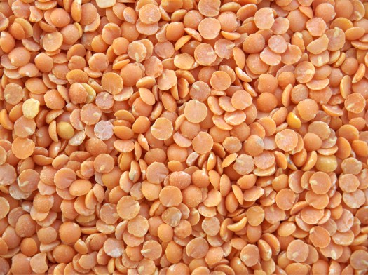 lentils-628468