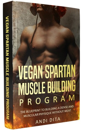 wordpress version of book cover